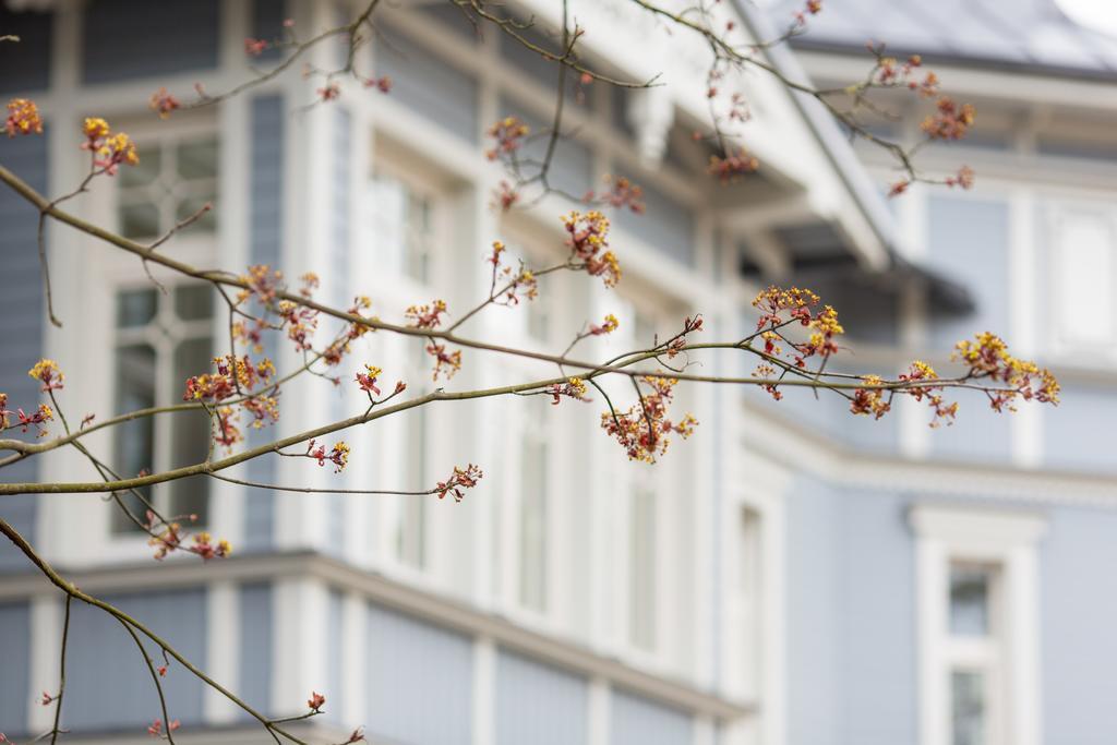 Katrin Apartments Jurmala Ngoại thất bức ảnh
